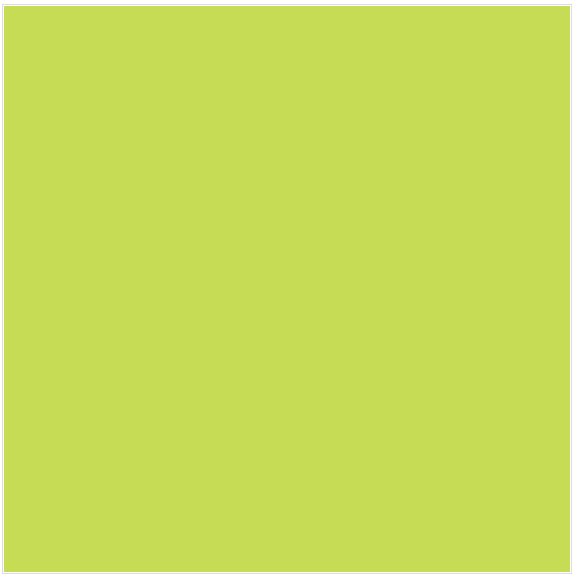 Фільтр Rosco E-Colour+ 088 Lime Green Roll (60882)